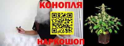 мяу мяу мука Краснознаменск
