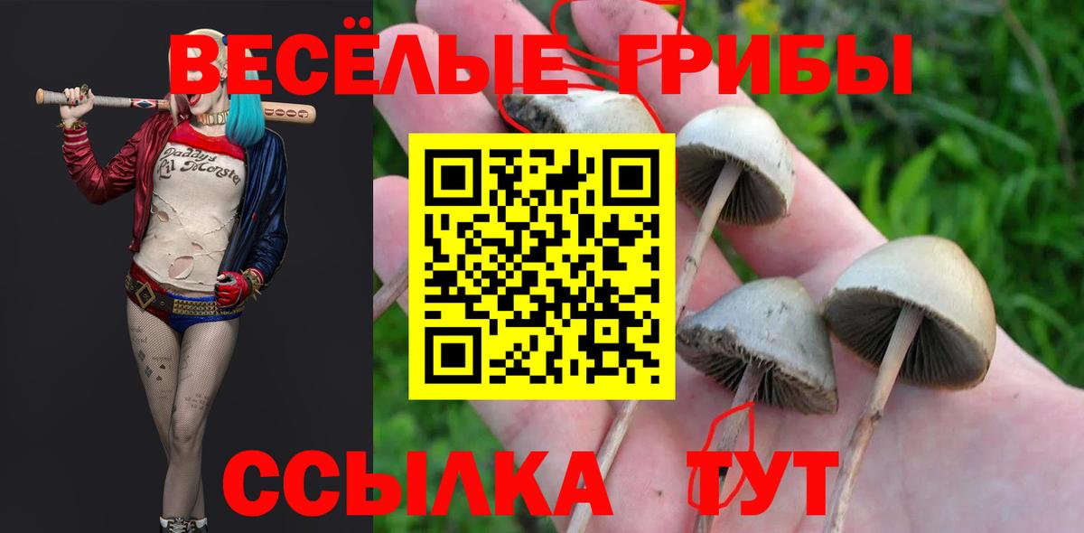 Псилоцибиновые грибы ЛСД  Вход с VPN  даркнет сайт  Хабаровск 